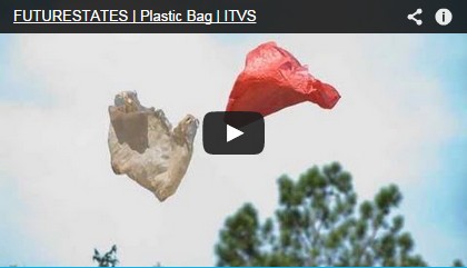 Plastic Bag